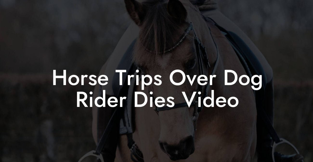 Horse Trips Over Dog Rider Dies Video