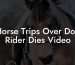 Horse Trips Over Dog Rider Dies Video