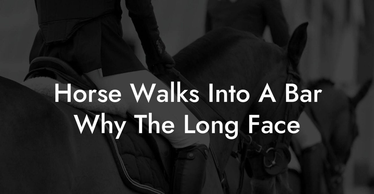 Horse Walks Into A Bar Why The Long Face