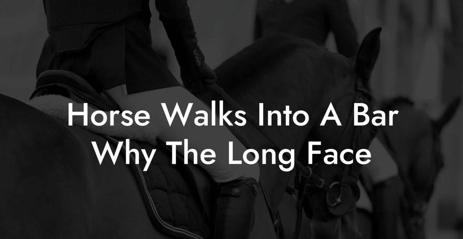 Horse Walks Into A Bar Why The Long Face How To Own a Horse