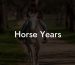Horse Years