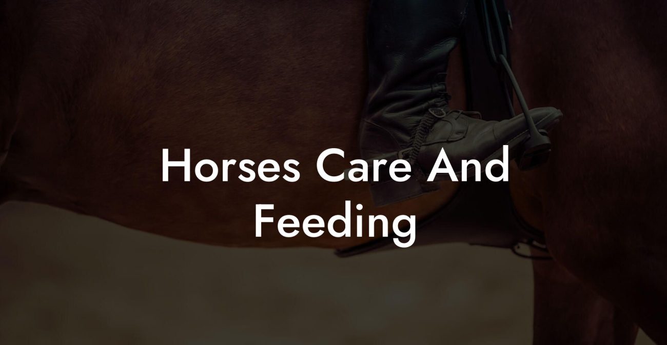 Horses Care And Feeding