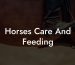 Horses Care And Feeding