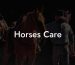 Horses Care