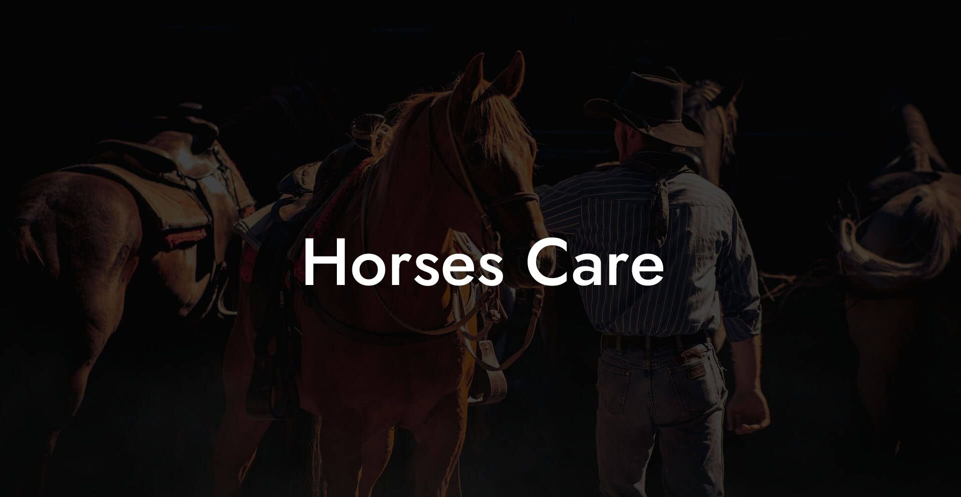 Horses Care