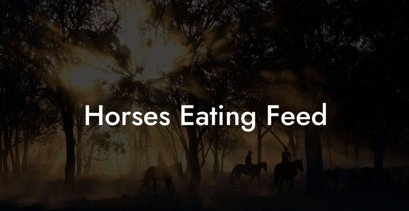 Horses Eating Feed