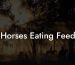 Horses Eating Feed