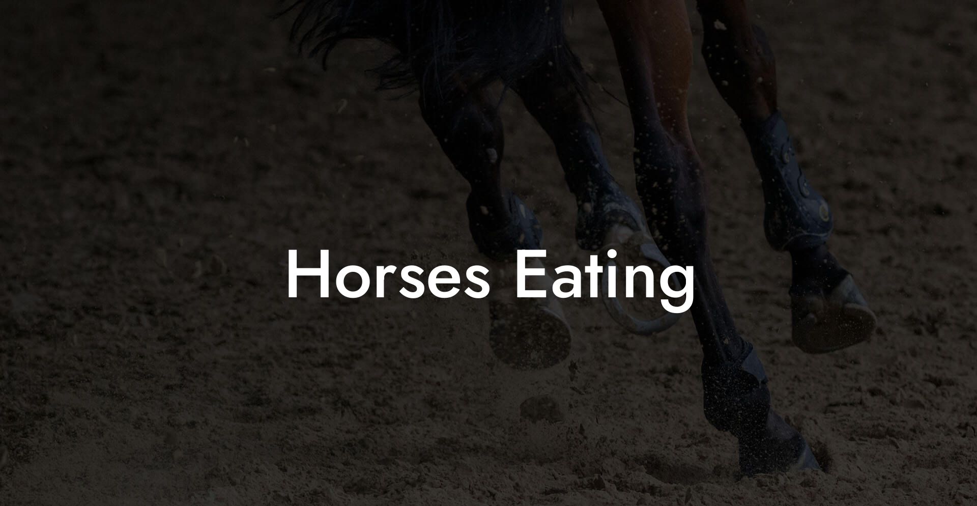 Horses Eating