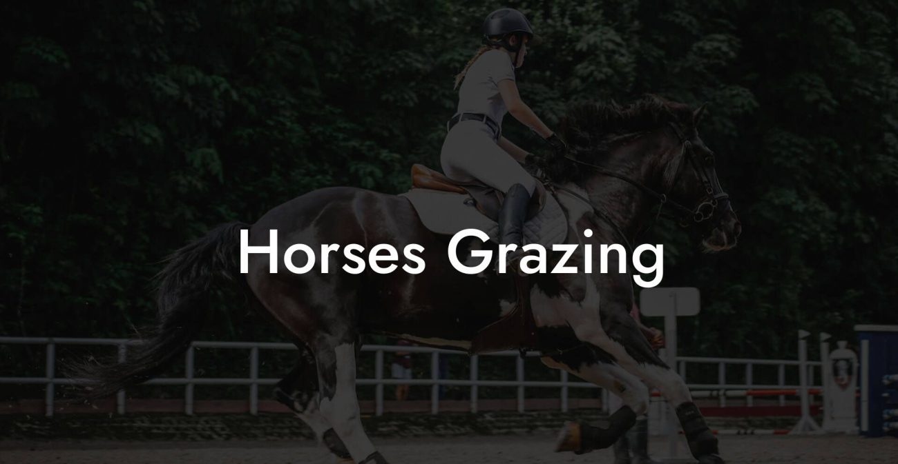 Horses Grazing