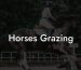 Horses Grazing