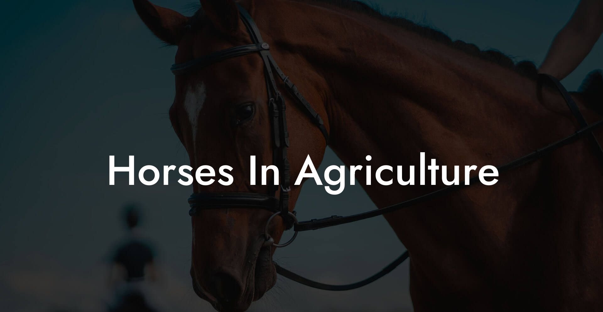 Horses In Agriculture