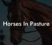 Horses In Pasture