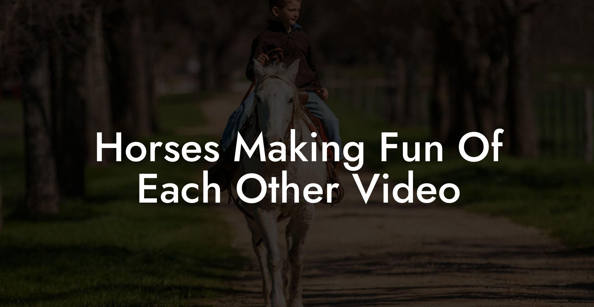 Horses Making Fun Of Each Other Video