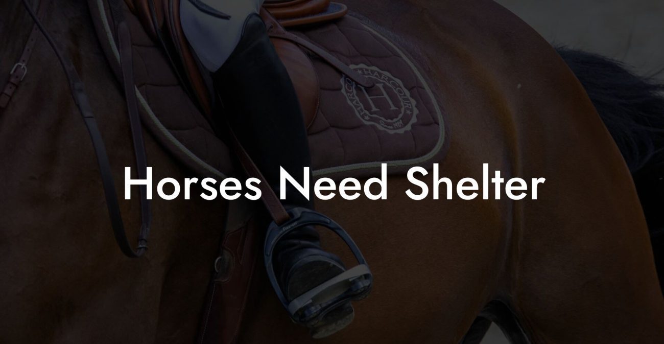 Horses Need Shelter