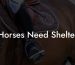 Horses Need Shelter