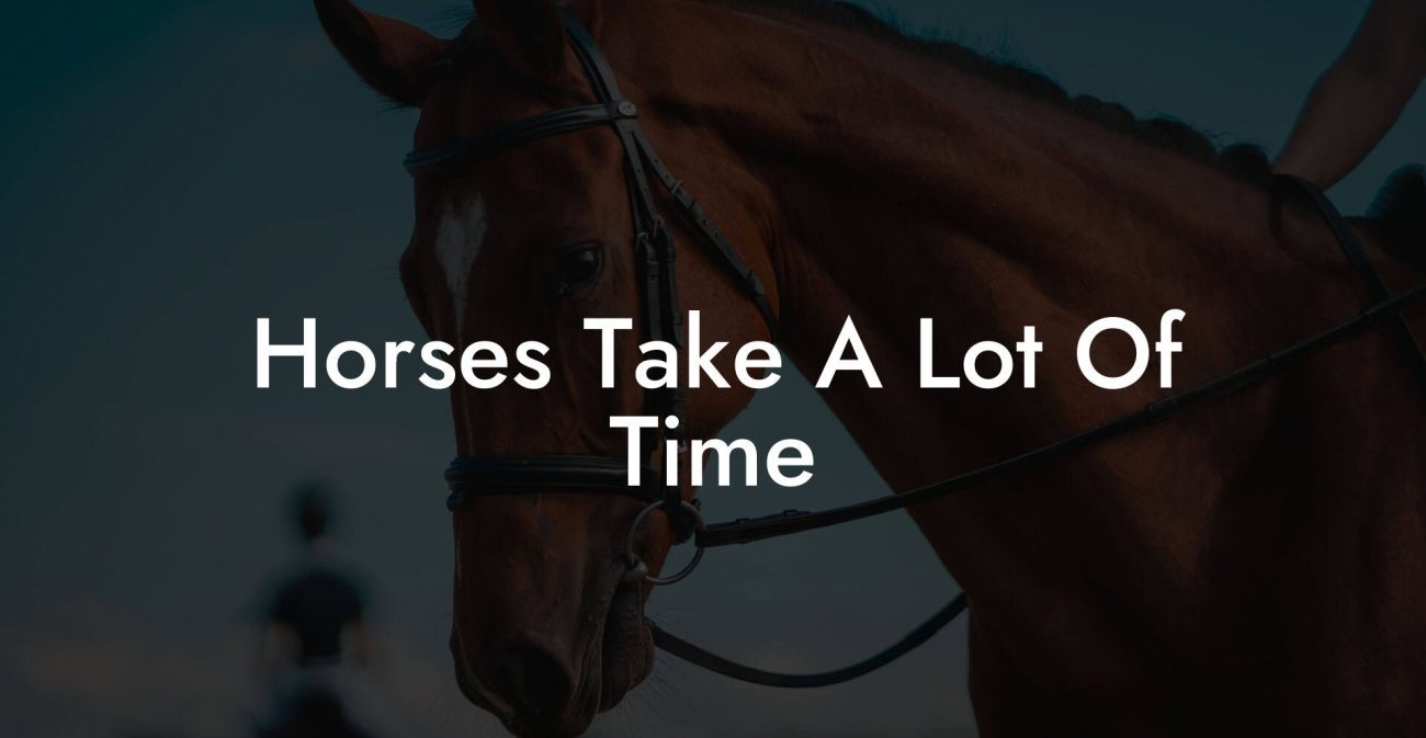 Horses Take A Lot Of Time