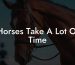 Horses Take A Lot Of Time