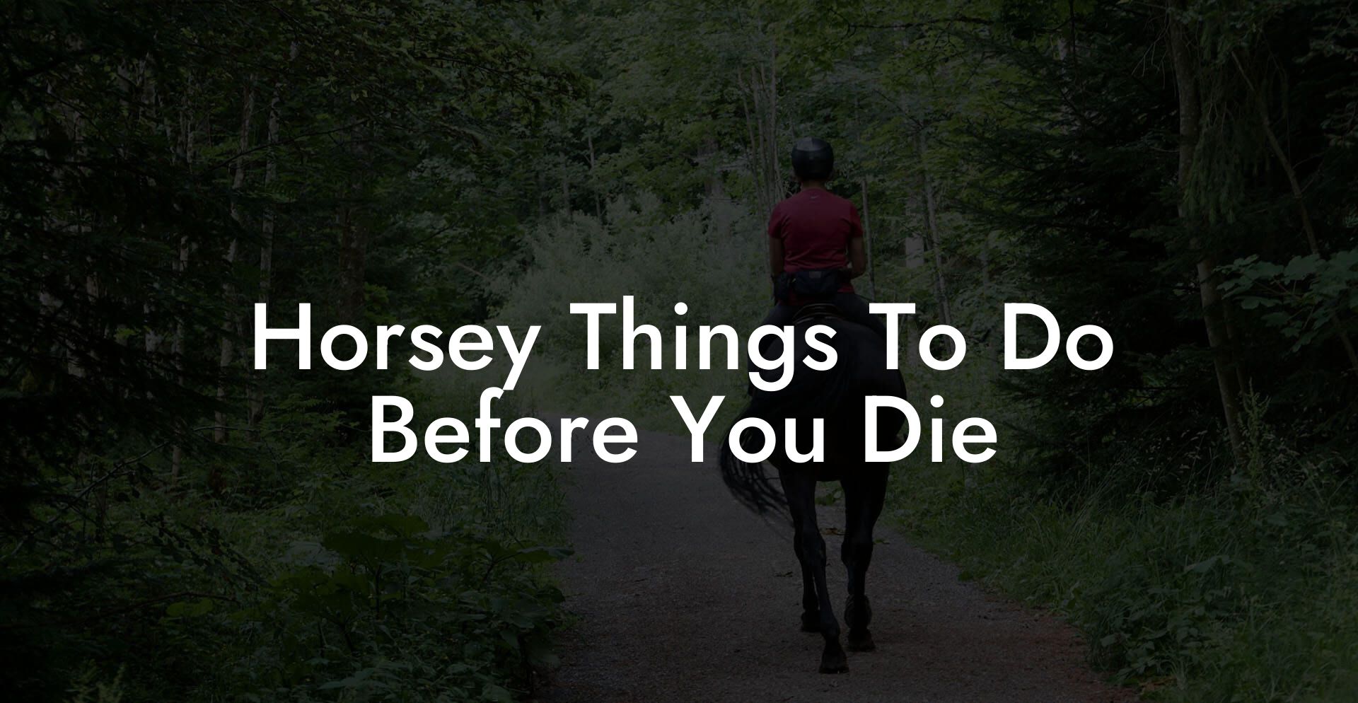 Horsey Things To Do Before You Die