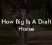 How Big Is A Draft Horse
