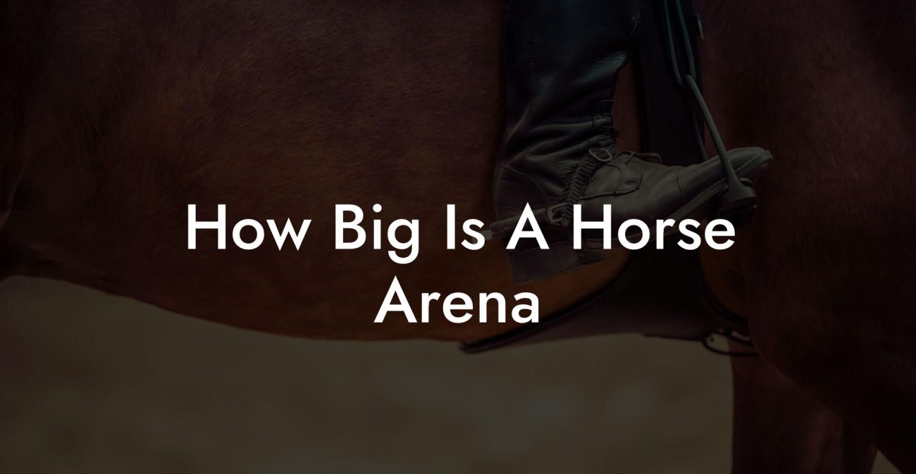 How Big Is A Horse Arena