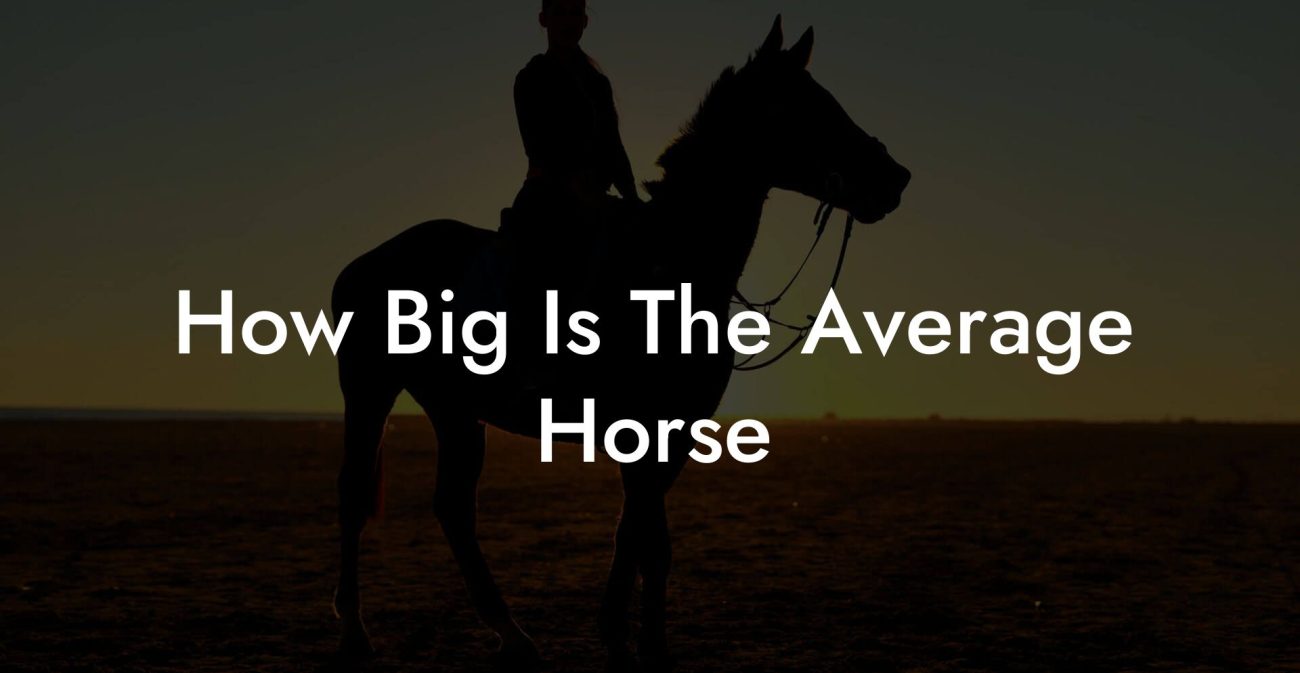 How Big Is The Average Horse