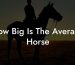 How Big Is The Average Horse