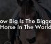 How Big Is The Biggest Horse In The World