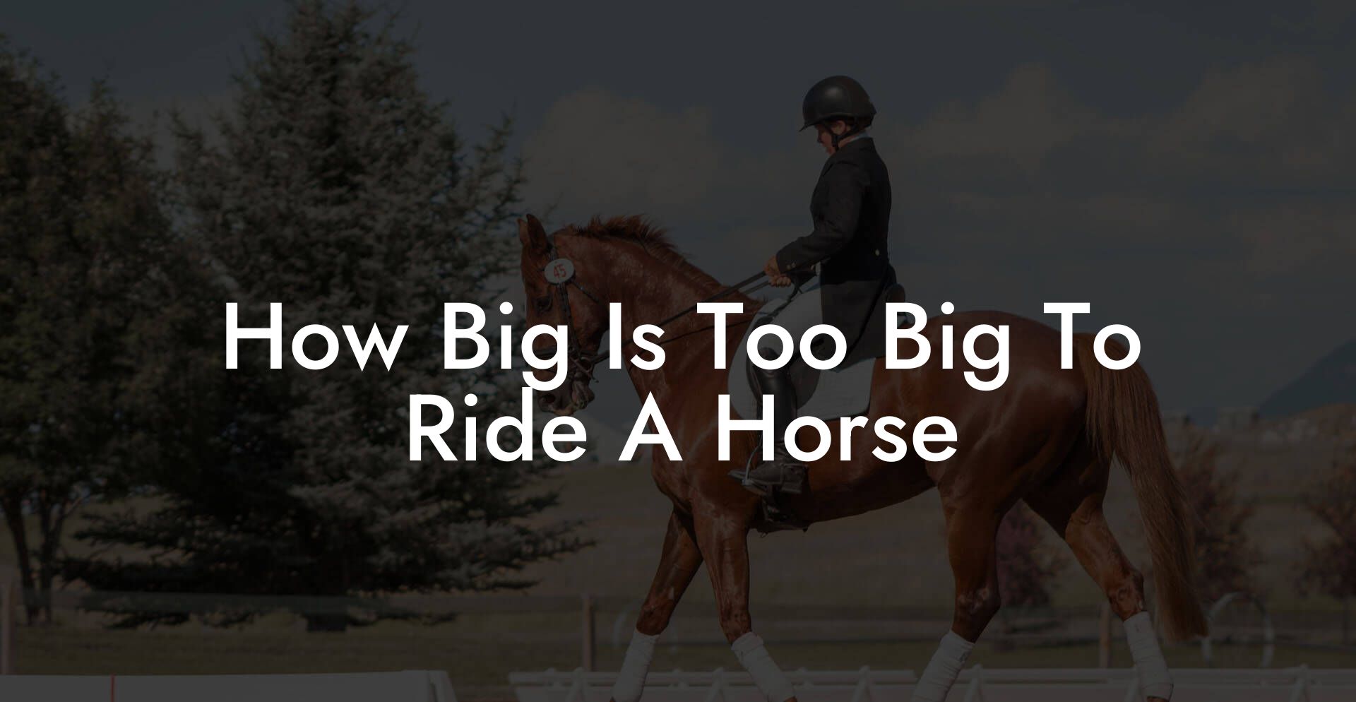 How Big Is Too Big To Ride A Horse