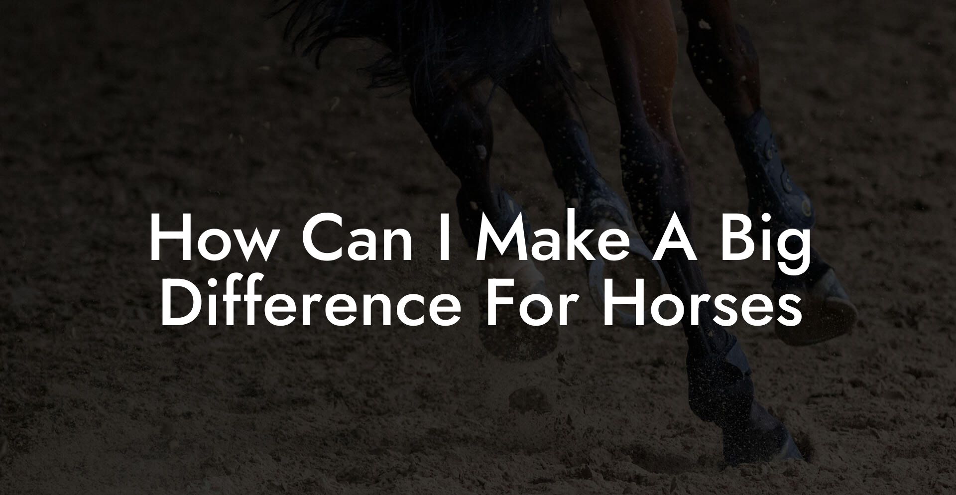 How Can I Make A Big Difference For Horses