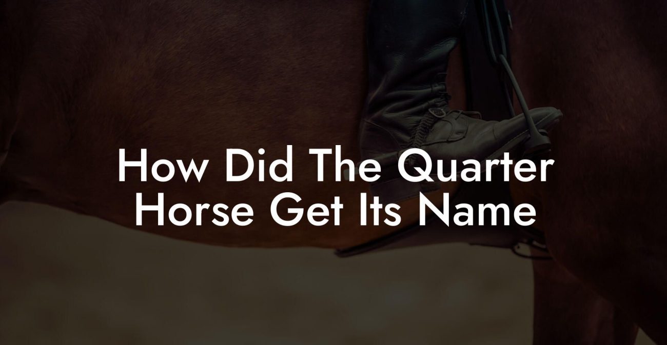 How Did The Quarter Horse Get Its Name