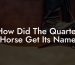How Did The Quarter Horse Get Its Name