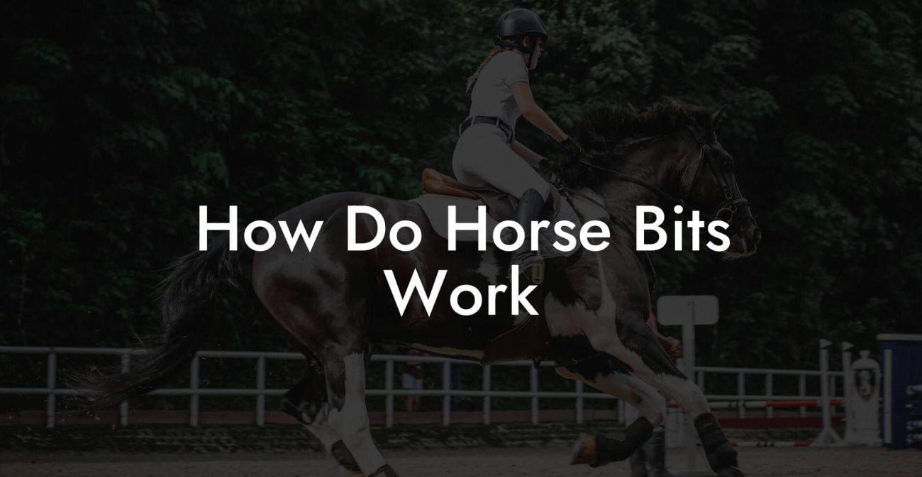 How Do Horse Bits Work