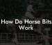 How Do Horse Bits Work