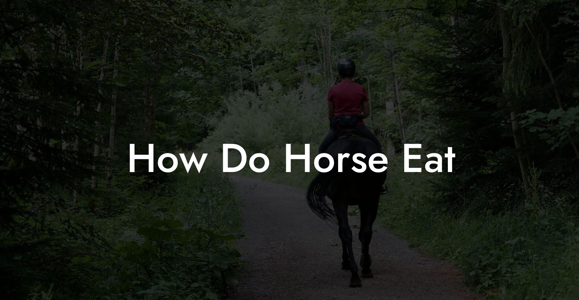 How Do Horse Eat
