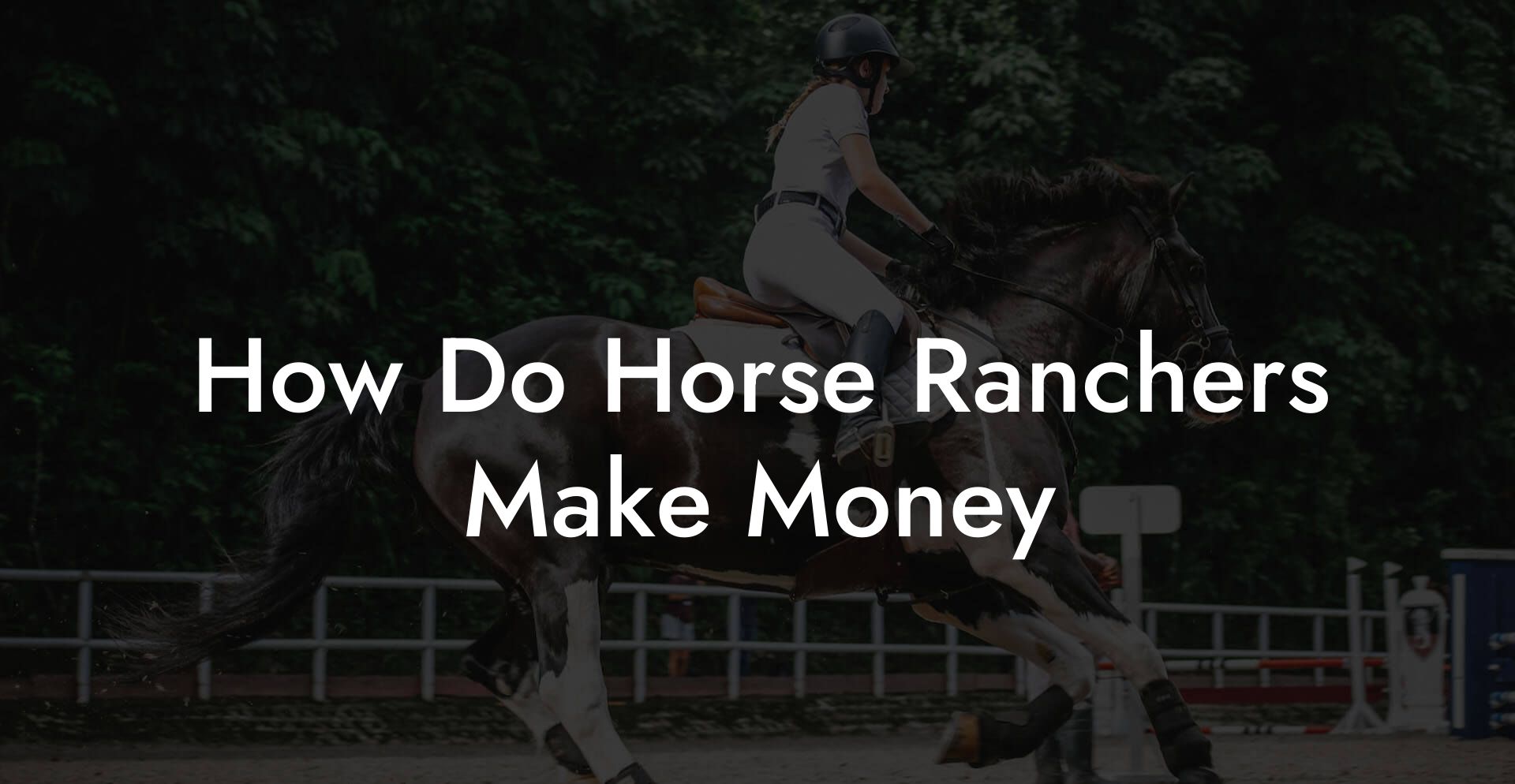 How Do Horse Ranchers Make Money