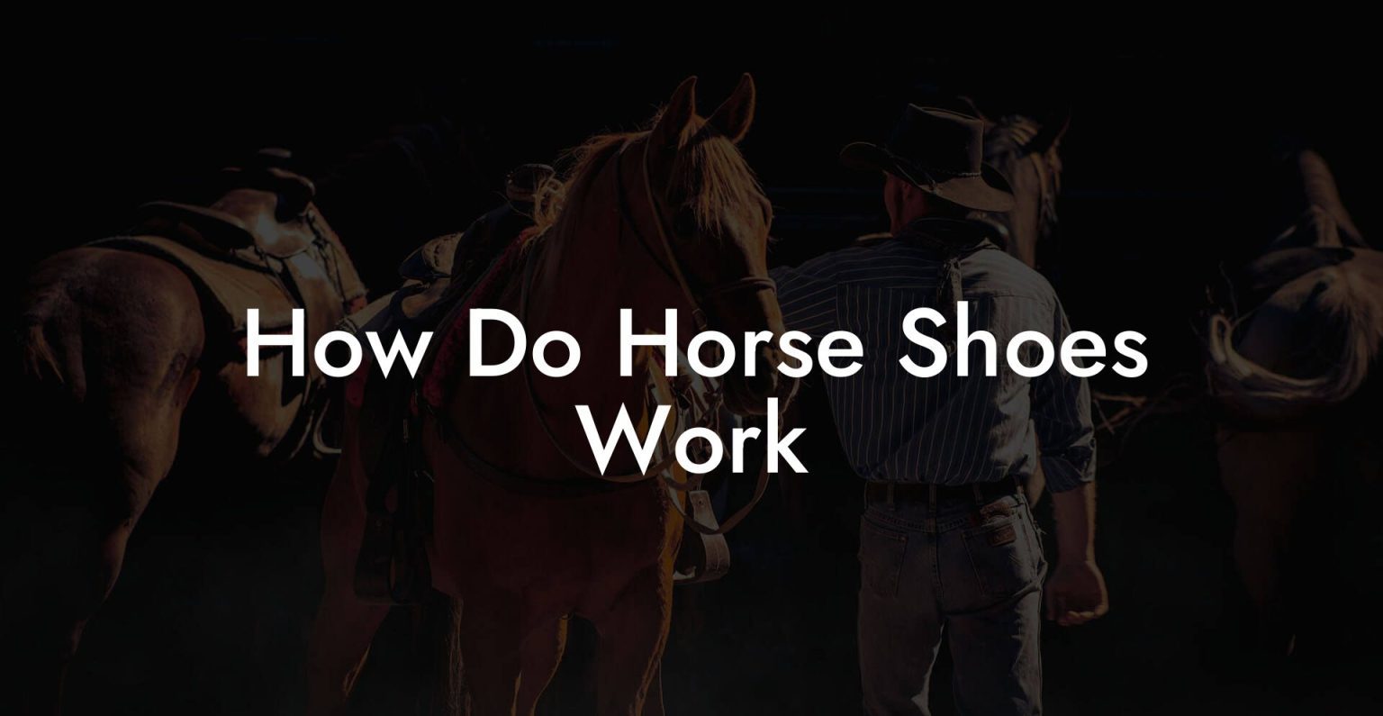 How Do Horse Shoes Work How To Own a Horse
