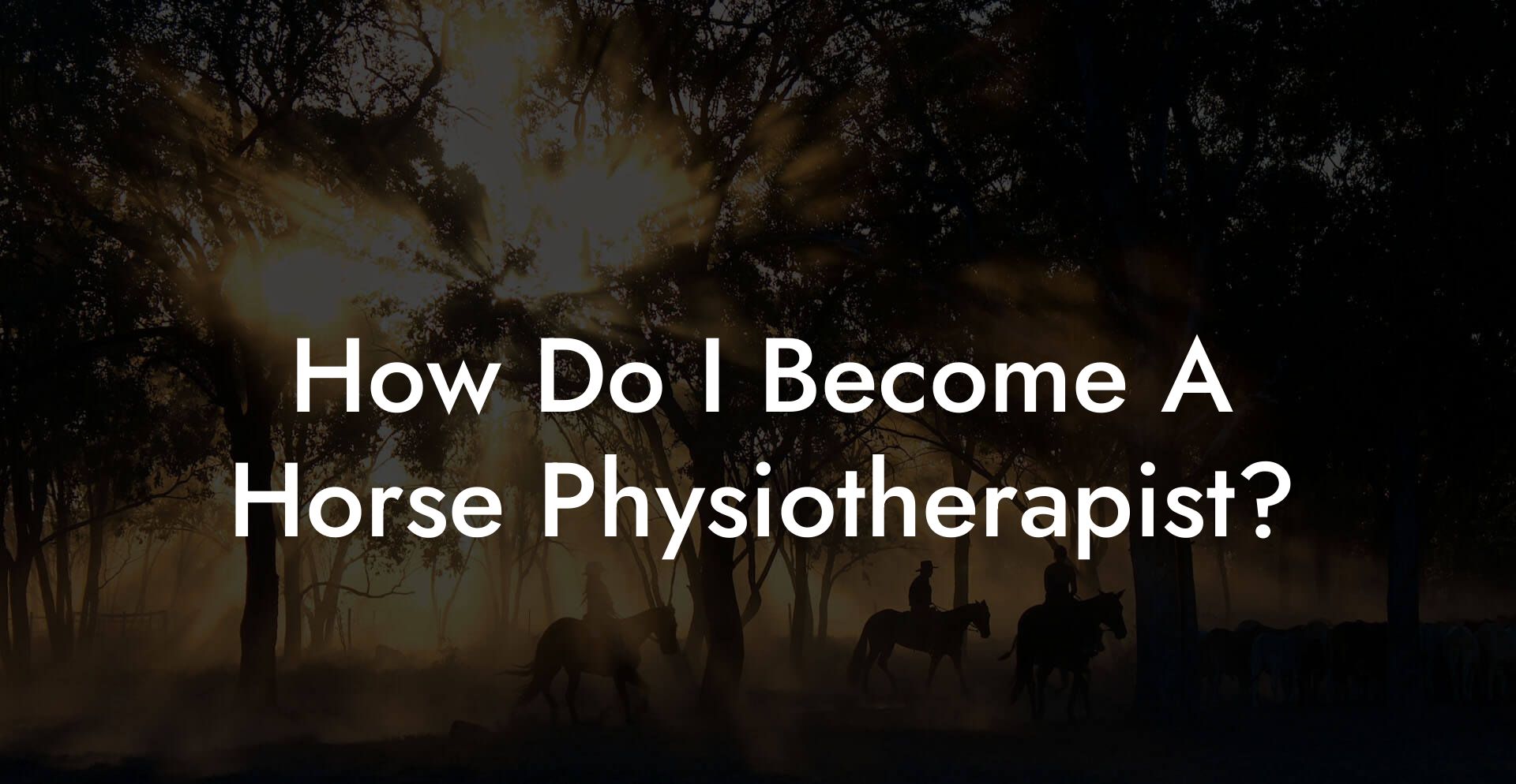 How Do I Become A Horse Physiotherapist?