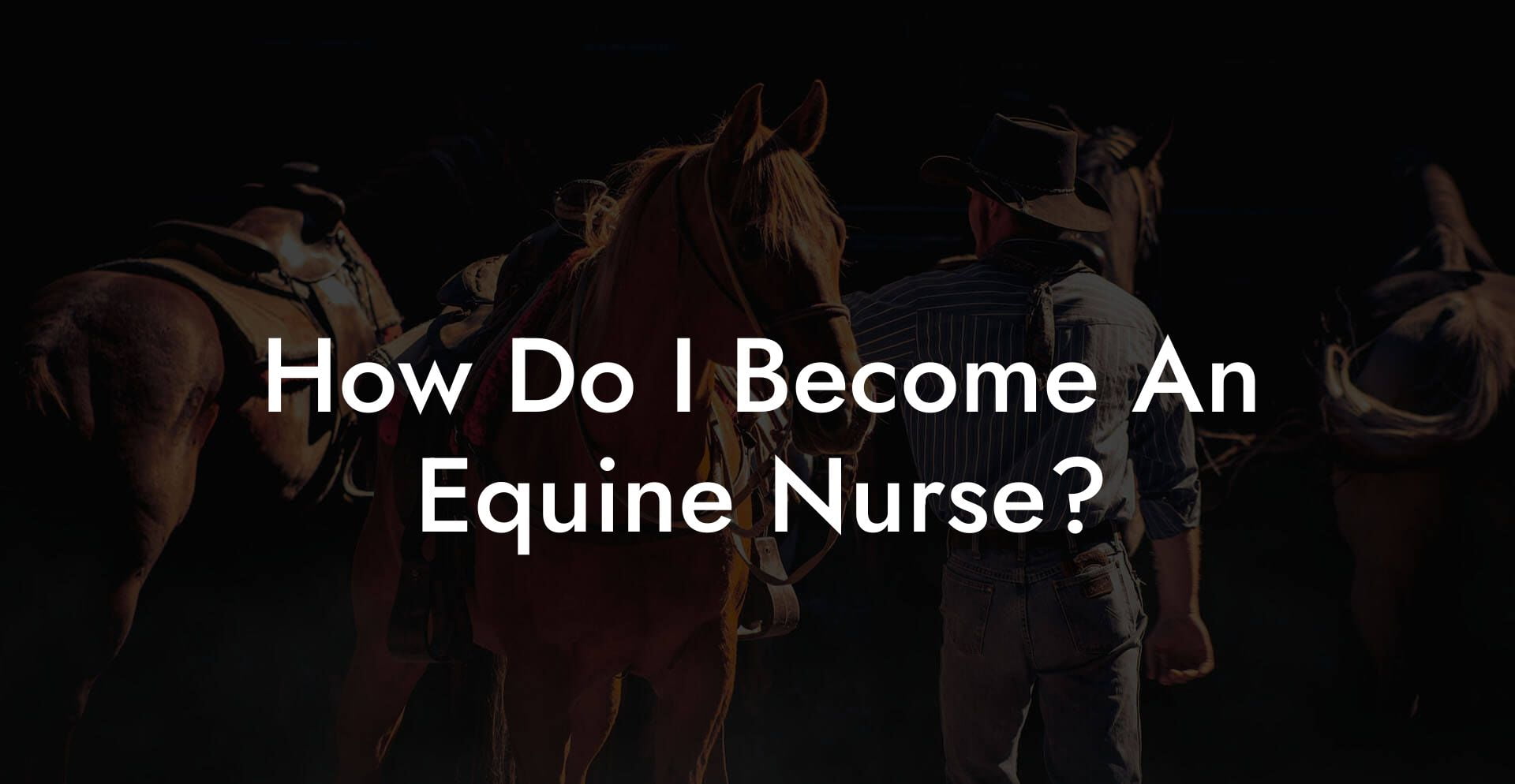How Do I Become An Equine Nurse?