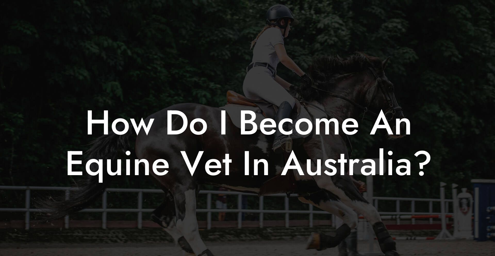 How Do I Become An Equine Vet In Australia?