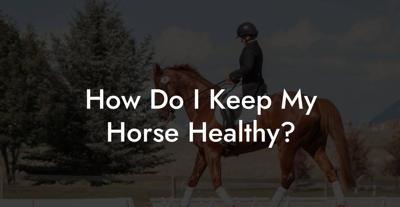 How Do I Keep My Horse Healthy?