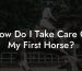 How Do I Take Care Of My First Horse?