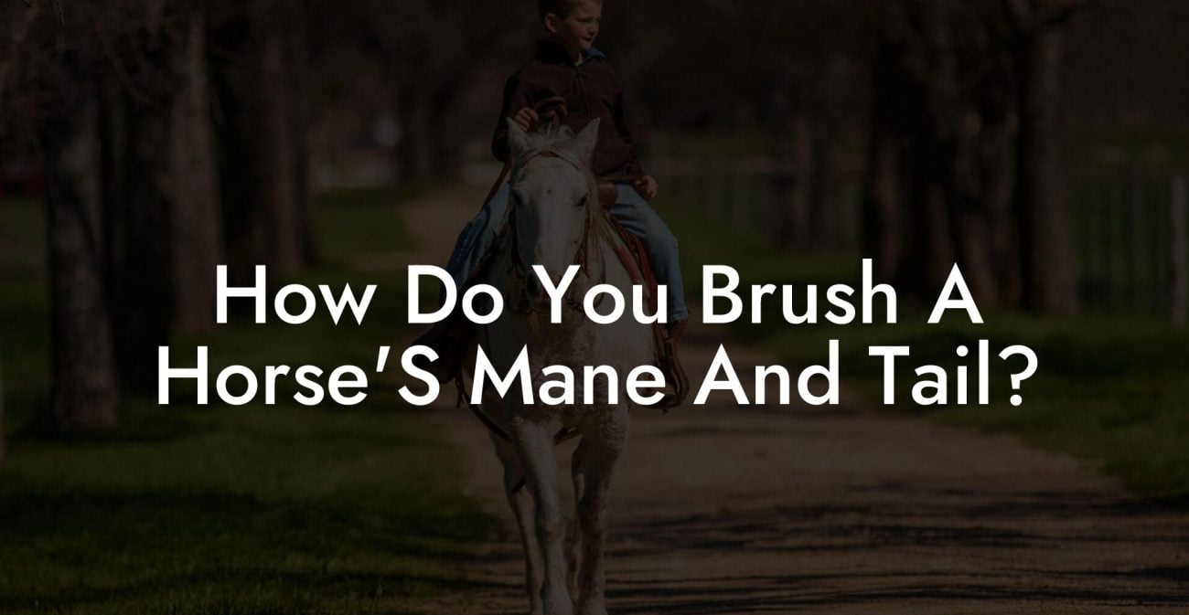 How Do You Brush A Horse'S Mane And Tail?