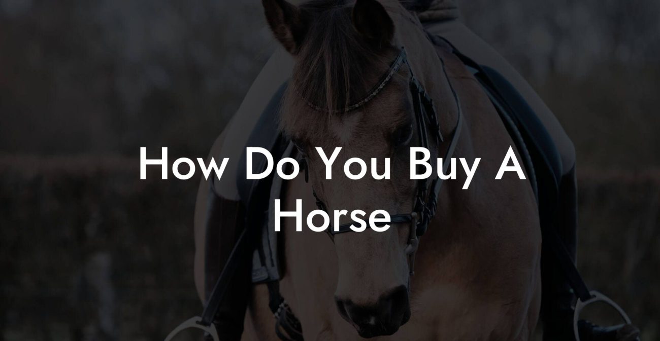 How Do You Buy A Horse