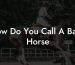 How Do You Call A Baby Horse