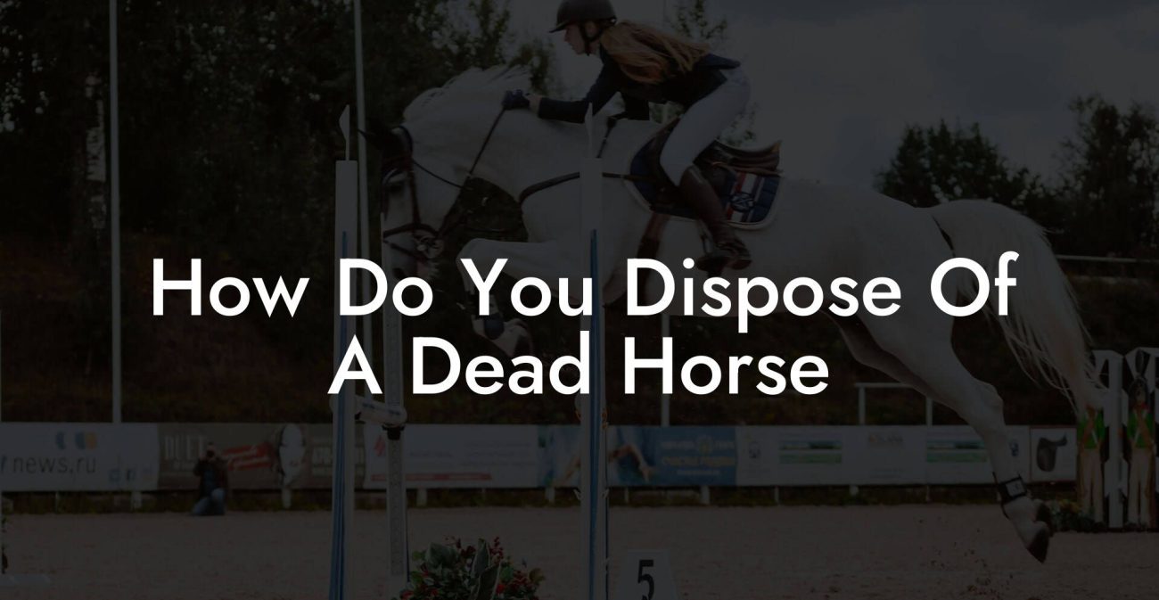 How Do You Dispose Of A Dead Horse