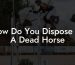 How Do You Dispose Of A Dead Horse