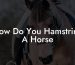 How Do You Hamstring A Horse