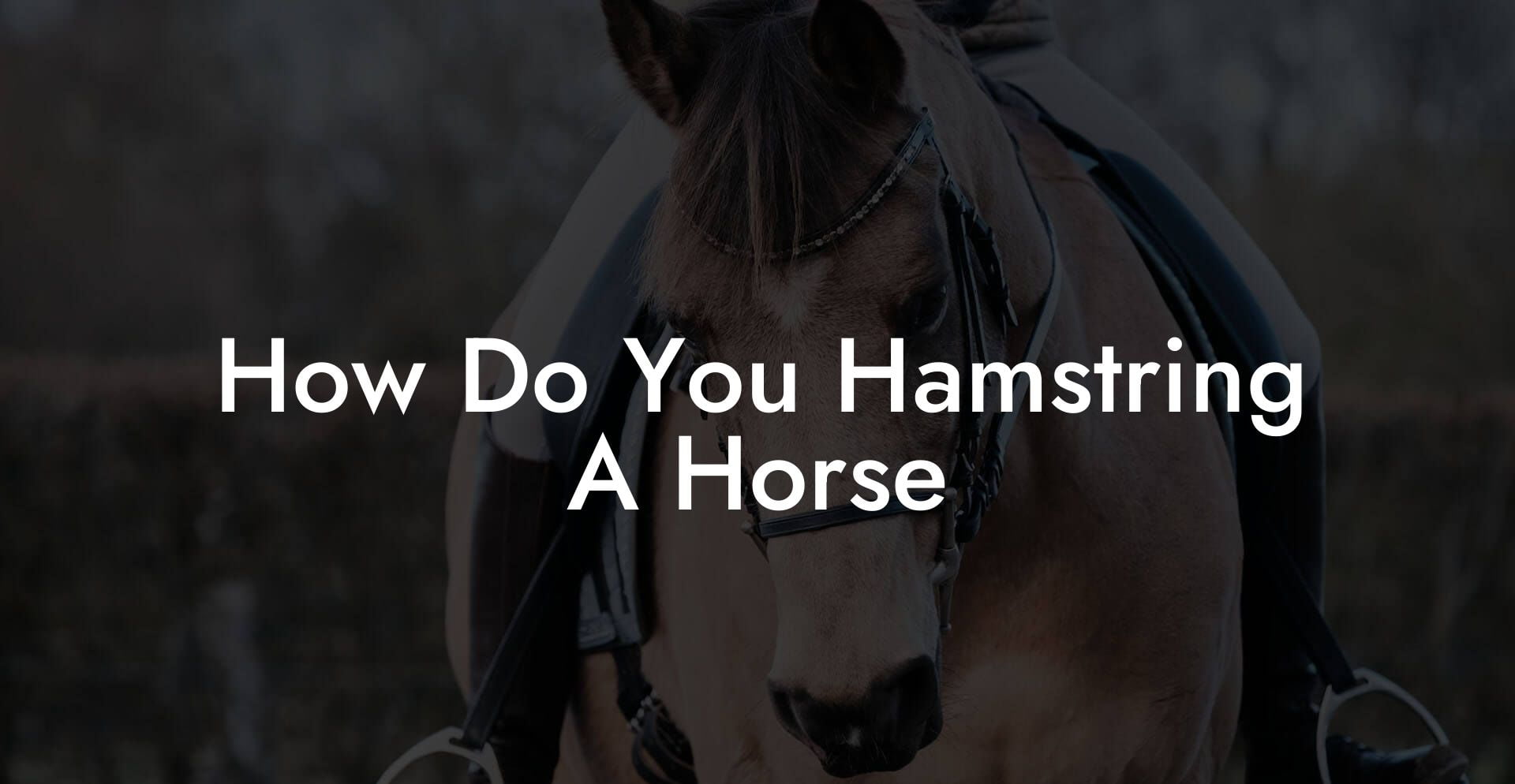 How Do You Hamstring A Horse