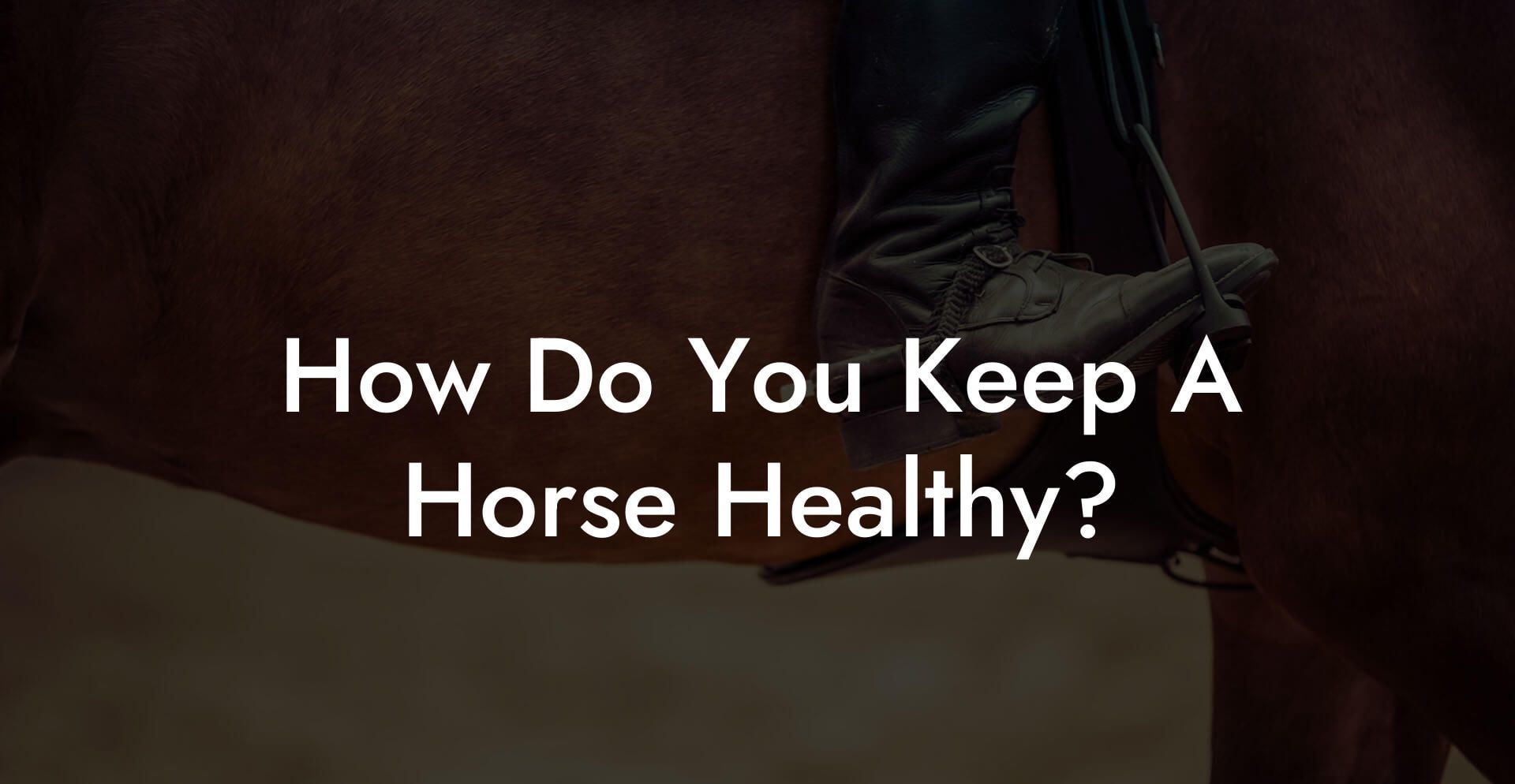 How Do You Keep A Horse Healthy?