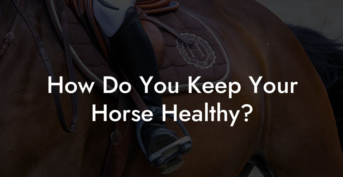 How Do You Keep Your Horse Healthy?